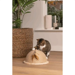 Designed By Lotte Halve Krabbol Vivi 6 Designed By Lotte Halve Krabbol Vivi -Dierenvriend Kortingshuis designed by lotte halve krabbol vivi 221563 1500 none