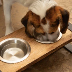 Designed By Lotte Houten Dinerset Karinto -Dierenvriend Kortingshuis designed by lotte houten dinerset karinto 164311 2000 none