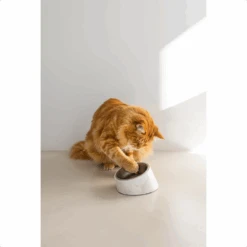 Designed By Lotte Kattenvoerbak Vita 19 Designed By Lotte Kattenvoerbak Vita -Dierenvriend Kortingshuis designed by lotte kattenvoerbak vita 221521 1500 none