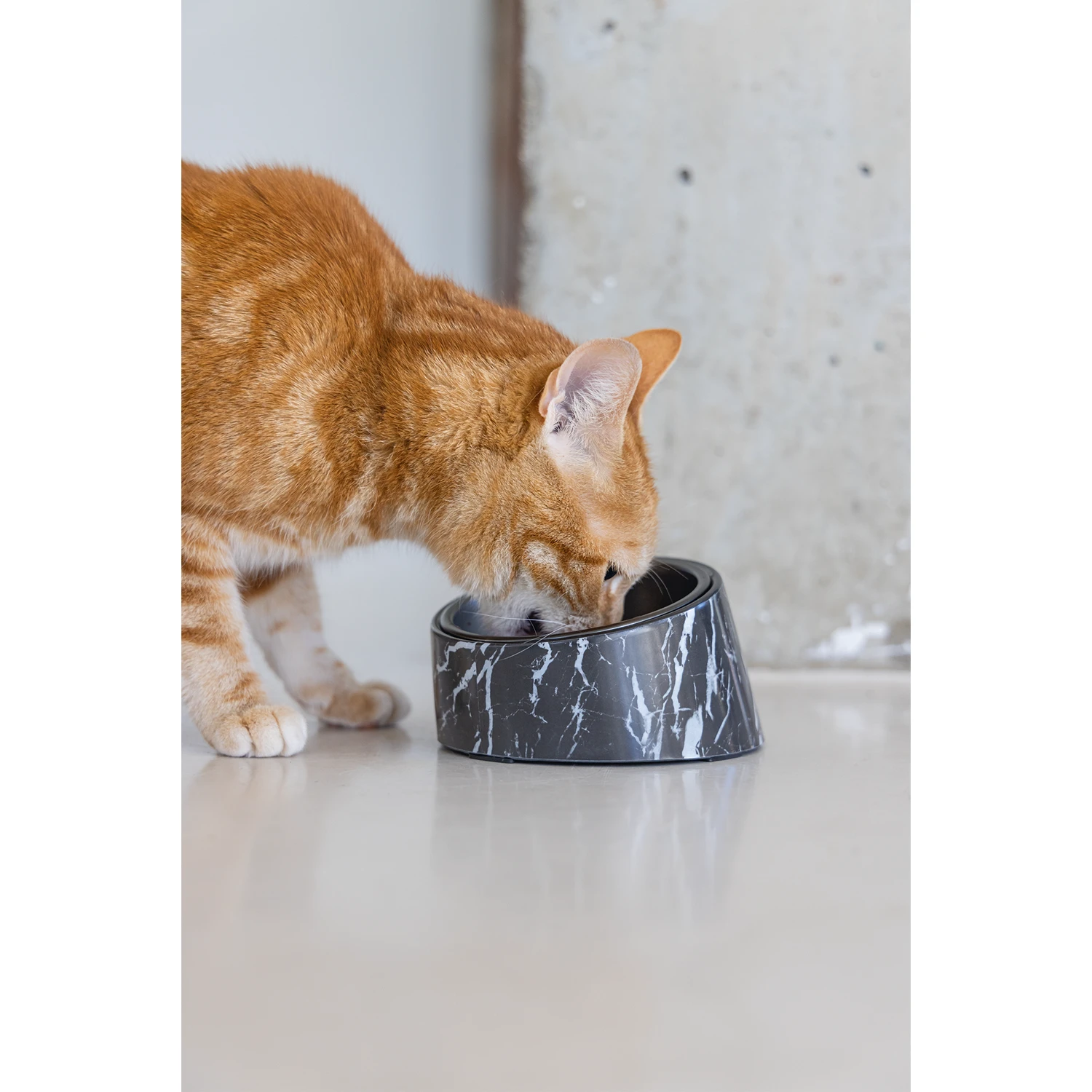 Designed By Lotte Kattenvoerbak Vita 9 Designed By Lotte Kattenvoerbak Vita - Afbeelding 9