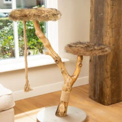 Designed By Lotte Krabmeubel Elora -Dierenvriend Kortingshuis designed by lotte krabmeubel elora 170014 2000 none