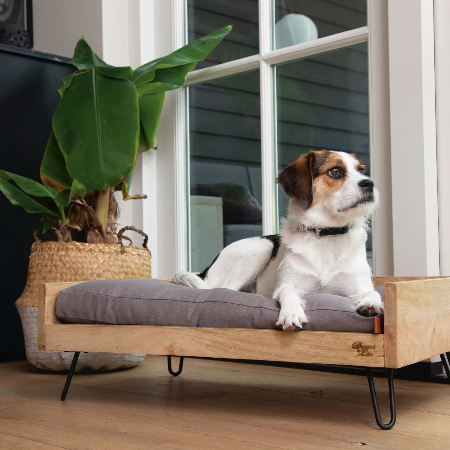 Designed By Lotte Ligmand Turana 4 Designed By Lotte Ligmand Turana - Afbeelding 4