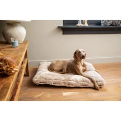 Designed By Lotte Xanti Hondenkussen 14 Designed By Lotte Xanti Hondenkussen -Dierenvriend Kortingshuis designed by lotte xanti hondenkussen 188127 2000 none