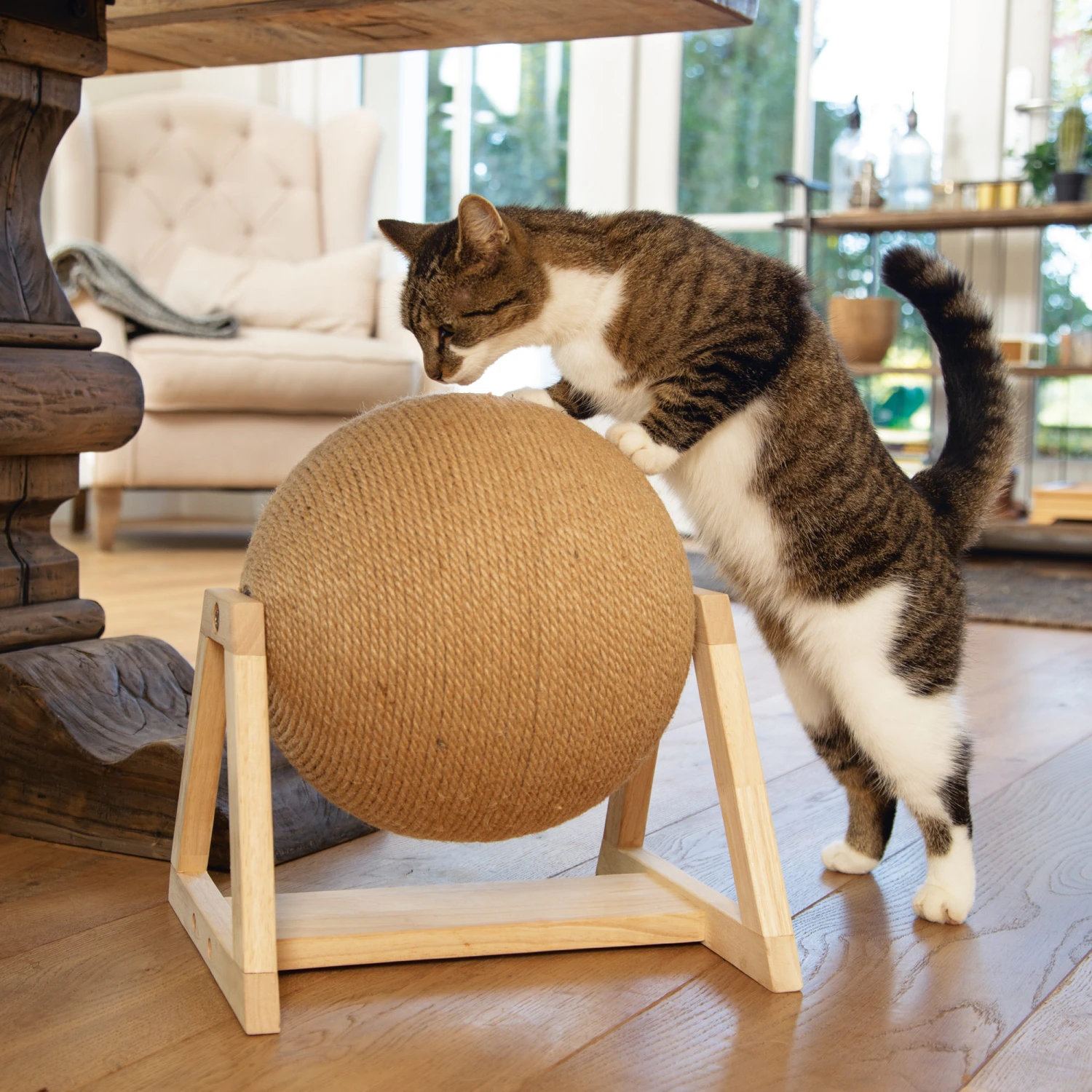 Designed By Lotte Xem Krabbol 3 Designed By Lotte Xem Krabbol - Afbeelding 3