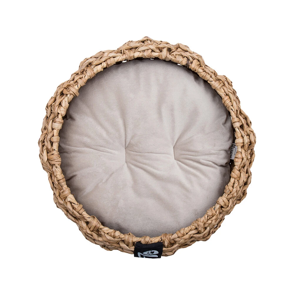 District 70 Cocoon 5 District 70 Cocoon - Afbeelding 5