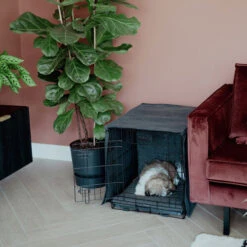 District 70 Crate Bench Hoes -Dierenvriend Kortingshuis district 70 crate cover 191152 0500 none