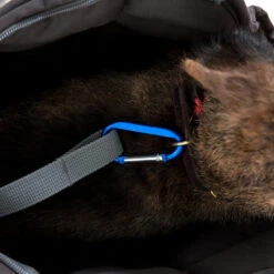 Doctor Bark Dog Carrier Bag -Dierenvriend Kortingshuis doctor bark honden draagtas 202157 1500 none