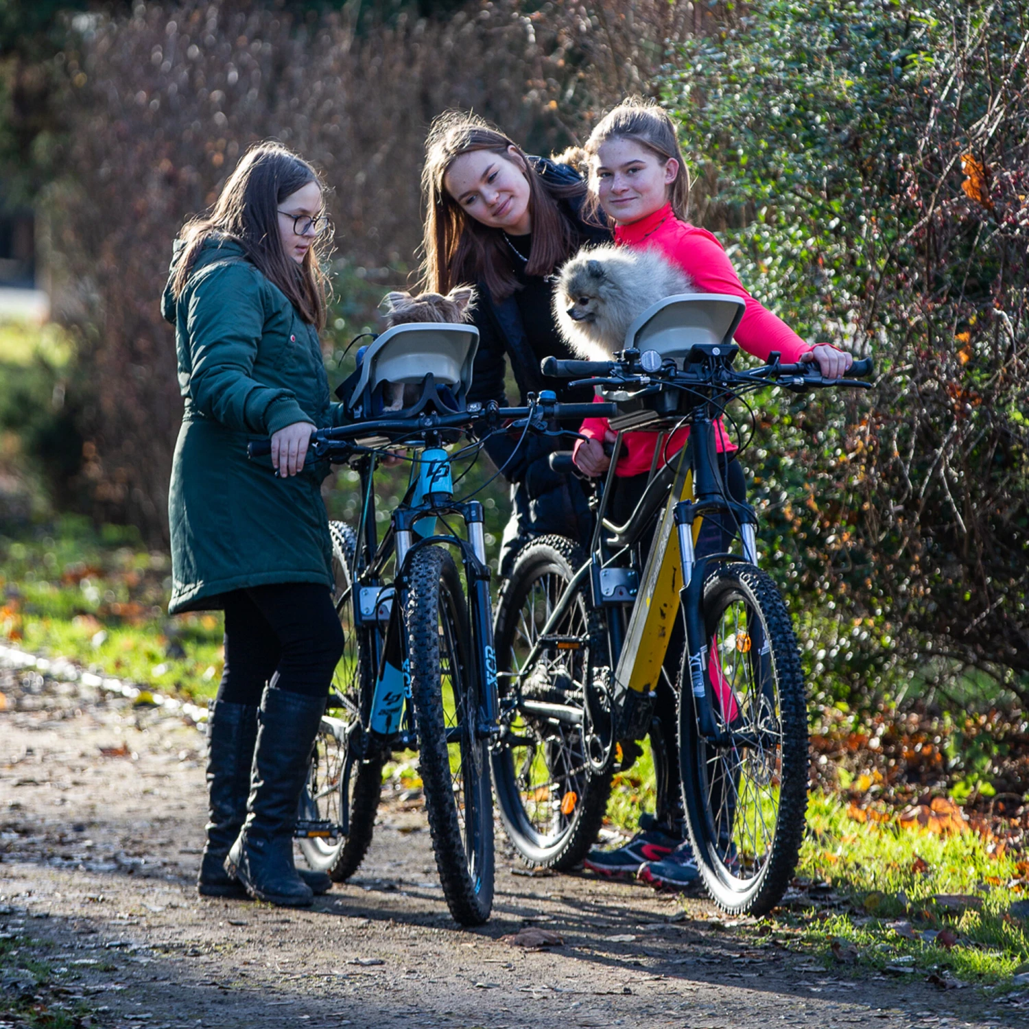 Dogrider Dog Seat 7 Dogrider Dog Seat - Afbeelding 7