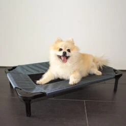 Duvo+ Hondenstretcher Relax 15 Duvo+ Hondenstretcher Relax -Dierenvriend Kortingshuis duvo hondenstretcher relax 199796 1000 none