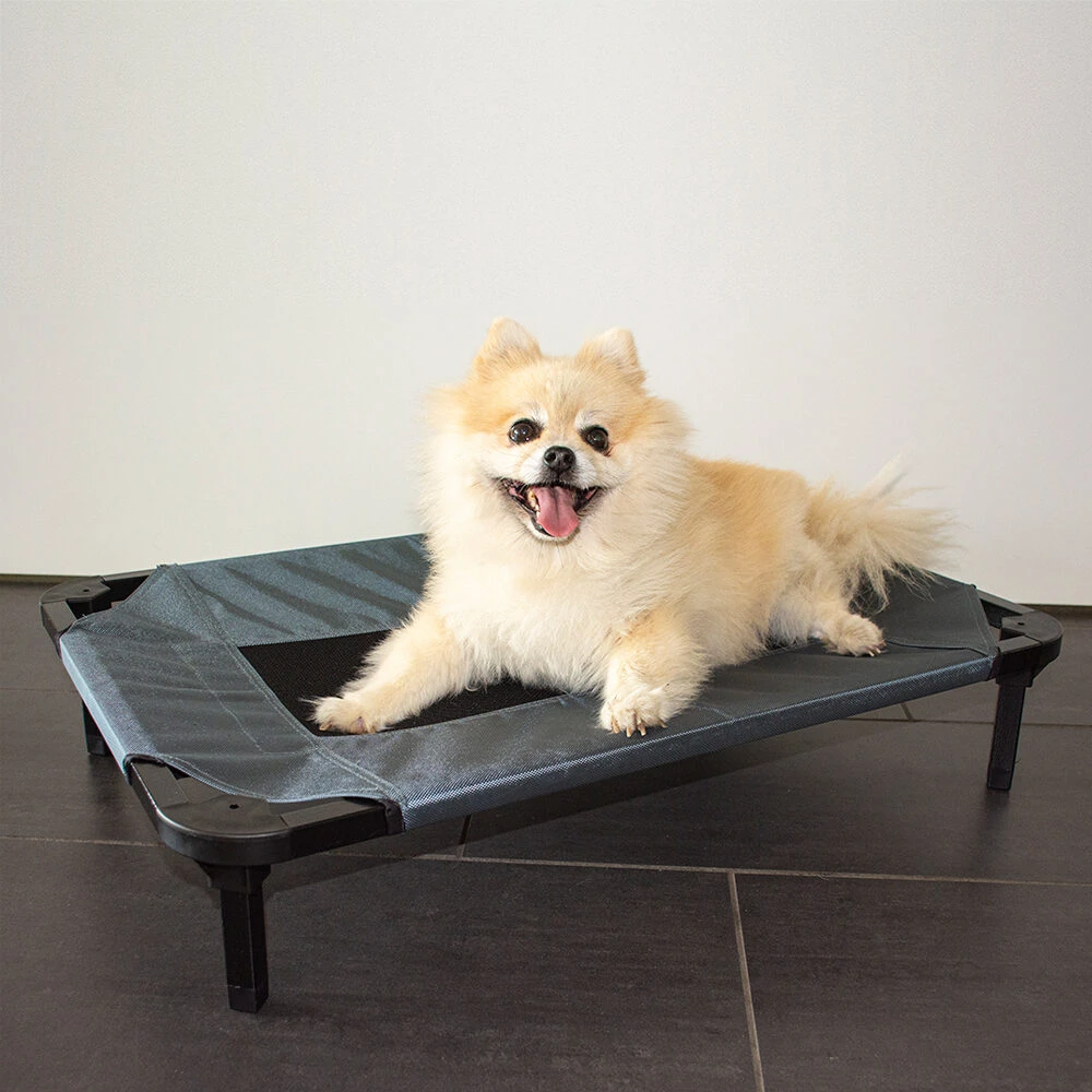 Duvo+ Hondenstretcher Relax 8 Duvo+ Hondenstretcher Relax - Afbeelding 8