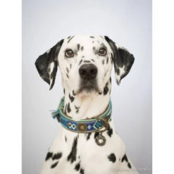 DWAM Halsband Boho Juan -Dierenvriend Kortingshuis dwam halsband boho juan 132080 1000 none