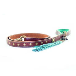 DWAM Hondenriem Joe 9 DWAM Hondenriem Joe -Dierenvriend Kortingshuis dwam hondenriem joe 161917 1000 none