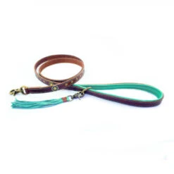 DWAM Hondenriem Joe 10 DWAM Hondenriem Joe -Dierenvriend Kortingshuis dwam hondenriem joe 161920 1000 none