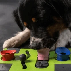 Eat Slow Live Longer Puzzle Antischrok Voerbak -Dierenvriend Kortingshuis eat slow live longer puzzle antischrok voerbak 220720 0500 none