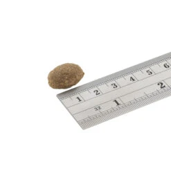 Fish4Dogs Finest Adult Complete - Sardine Grote Brok 7 Fish4Dogs Finest Adult Complete - Sardine Grote Brok -Dierenvriend Kortingshuis fish4dogs finest adult complete sardine grote brok 160928 1000 none