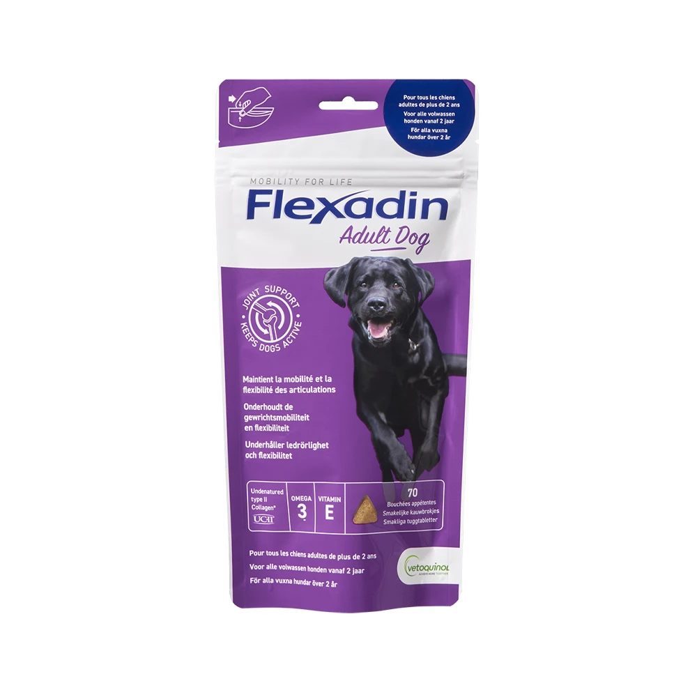 Flexadin Adult Dog 1 Flexadin Adult Dog