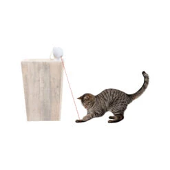 Frolicat Dancing Dot -Dierenvriend Kortingshuis frolicat dancing dot 184738 1000 none