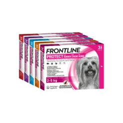 Frontline Protect Hond Spot On 21 Frontline Protect Hond Spot On -Dierenvriend Kortingshuis frontline protect hond spot on 192809 2000 none