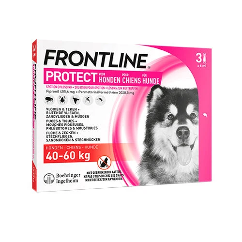 Frontline Protect Hond Spot On 5 Frontline Protect Hond Spot On - Afbeelding 5