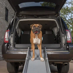 Happy Ride Compact Telescoping Dog Ramp -Dierenvriend Kortingshuis happy ride compact telescoping dog ramp 162826 1000 none