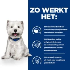 Hill's Derm Complete Mini - Prescription Diet - Canine 15 Hill's Derm Complete Mini - Prescription Diet - Canine -Dierenvriend Kortingshuis hills derm complete mini prescription diet canine 211667 0500 none