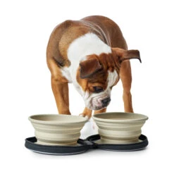 Hunter Siliconen Reiskommen In Tasje -Dierenvriend Kortingshuis hunter siliconen reiskommen in tasje 175747 2000 none