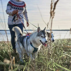 Hurtta - Weekend Warrior Winter Harnas - Bilberry -Dierenvriend Kortingshuis hurtta weekend warrior winter harnas bilberry 216605 1500 none