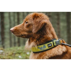 Hurtta Weekend Warrior Collar -Dierenvriend Kortingshuis hurtta weekend warrior collar 189090 0500 none