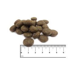 ICEPAW Scandic Duck -Dierenvriend Kortingshuis icepaw scandic duck 221035 1000 none