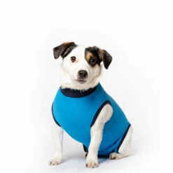 Jacketz Medical Body Suit Hond 29 Jacketz Medical Body Suit Hond -Dierenvriend Kortingshuis jacketz medical body suit hond xs blue 129595 2000 none