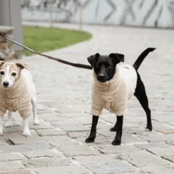 Kentucky Dogwear Hondenjas Teddy Fleece 21 Kentucky Dogwear Hondenjas Teddy Fleece -Dierenvriend Kortingshuis kentucky dogwear hondenjas teddy fleece 219186 0500 none