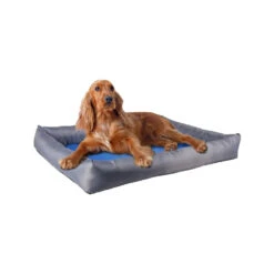 Flamingo Koelmand Fresk Rechthoek -Dierenvriend Kortingshuis koelmand fresk rechthoek 222645 1000 none