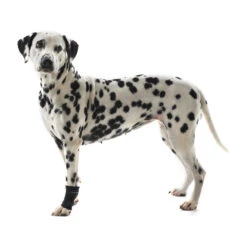 Kruuse Rehab Polsbeschermer 12 Kruuse Rehab Polsbeschermer -Dierenvriend Kortingshuis kruuse rehab polsbeschermer 142328 1000 none