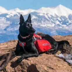 Kurgo Baxter Backpack 5 Kurgo Baxter Backpack -Dierenvriend Kortingshuis kurgo baxter backpack 222793 0500 none