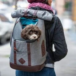 Kurgo K9 Rugzak 9 Kurgo K9 Rugzak -Dierenvriend Kortingshuis kurgo k9 rugzak 208103 0500 none