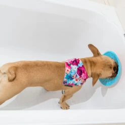 LickiMat Splash -Dierenvriend Kortingshuis lickimat splash 164212 2000 none