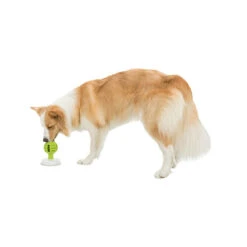 Trixie Lick'n'Snack Bal -Dierenvriend Kortingshuis licknsnack bal 184660 0500 none