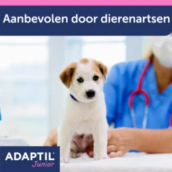 Adaptil Halsband - Junior -Dierenvriend Kortingshuis mJFw8nM1rQt3l7IXQDJPIHbZkc7TM7 metaQWRhcHRpbC1KdW5pb3ItY29sbGFyLUNhcm91c3NlbC05LmpwZw