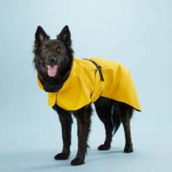 PAIKKA Visibility Raincoat Lite Yellow 10 PAIKKA Visibility Raincoat Lite Yellow -Dierenvriend Kortingshuis mW2Bw3791R8VnpD5P3PKMJkiXIFNZn metaUGFpa2thLVZpc2liaWxpdHktUmFpbmNvYXQtTGl0ZS1ZZWxsb3c0LmpwZw