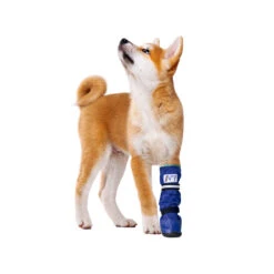 Medical Pet Shirt Boot -Dierenvriend Kortingshuis medical pets boot 167479 1000 none