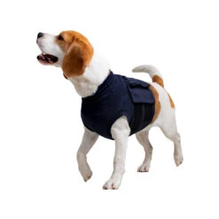 MPS-TOP Shirt 4 In 1 19 MPS-TOP Shirt 4 In 1 -Dierenvriend Kortingshuis mps top shirt 4 in 1 149909 2000 none