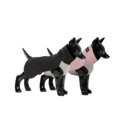 PAIKKA Recovery Winter Shirt 39 PAIKKA Recovery Winter Shirt -Dierenvriend Kortingshuis paikka recovery winter shirt 217785 2000 none