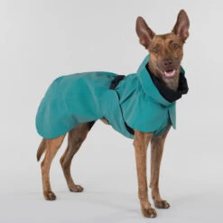 PAIKKA Visibility Raincoat Emerald -Dierenvriend Kortingshuis paikka visibility raincoat emerald 222162 2000 none