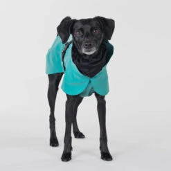 PAIKKA Visibility Raincoat Emerald -Dierenvriend Kortingshuis paikka visibility raincoat emerald 222163 2000 none