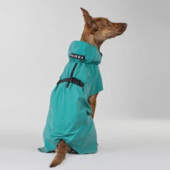PAIKKA Visibility Raincoat Emerald -Dierenvriend Kortingshuis paikka visibility raincoat emerald 222164 2000 none