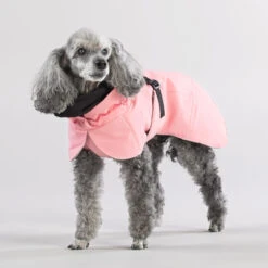 PAIKKA Visibility Winter Jacket 29 PAIKKA Visibility Winter Jacket -Dierenvriend Kortingshuis paikka visibility winter jacket 217799 2000 none