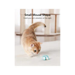 Petlibro Pixie Mouse -Dierenvriend Kortingshuis petlibro pixie mouse 221373 2000 none