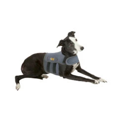 Petlife KarmaWrap Hond 9 Petlife KarmaWrap Hond -Dierenvriend Kortingshuis petlife karmawrap hond 154186 1000 none