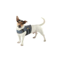 Petlife KarmaWrap Hond 10 Petlife KarmaWrap Hond -Dierenvriend Kortingshuis petlife karmawrap hond 154189 1000 none