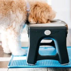 Popware Pet Bowl Grippmat 7 Popware Pet Bowl Grippmat -Dierenvriend Kortingshuis popware pet bowl grippmat 164719 2000 none